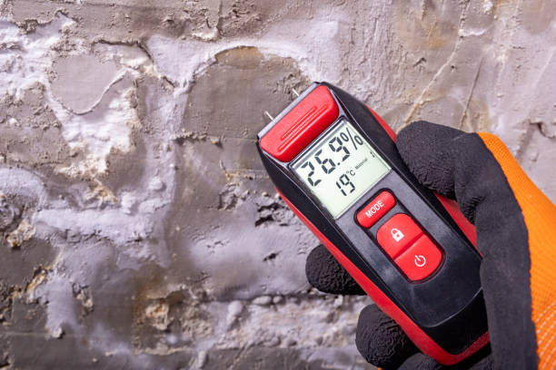 Best Kitchen Mold Remediation in Union City, OK