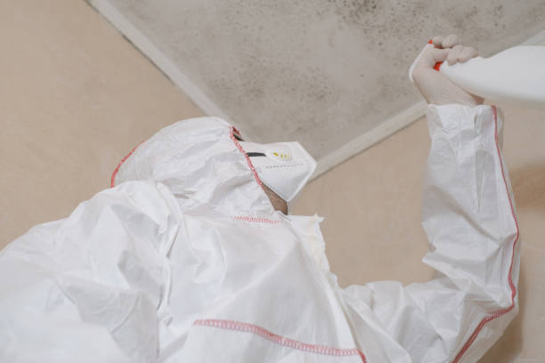 Best Bathroom Mold Remediation in Union City, OK