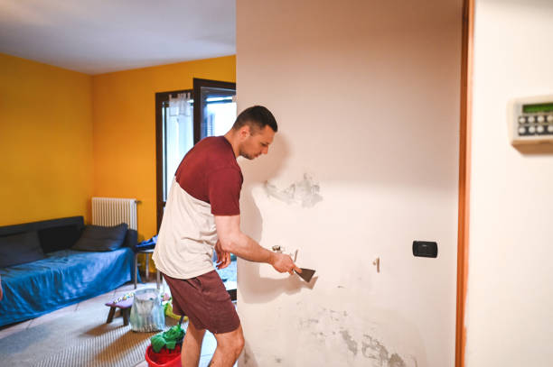 Professional Mold Remediation in Union City, OK