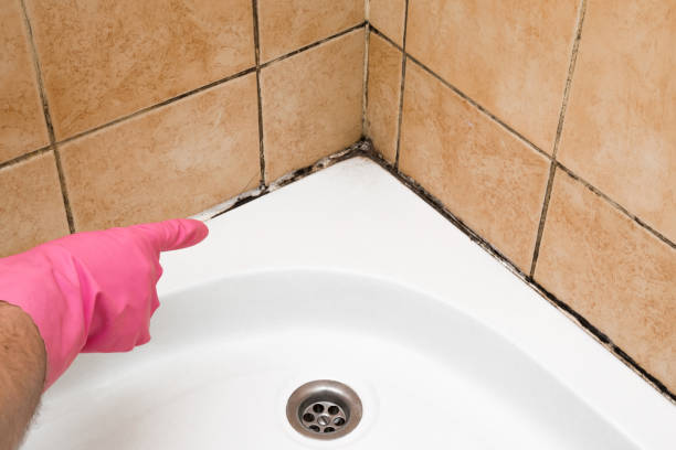 Best Industrial Mold Remediation in Union City, OK